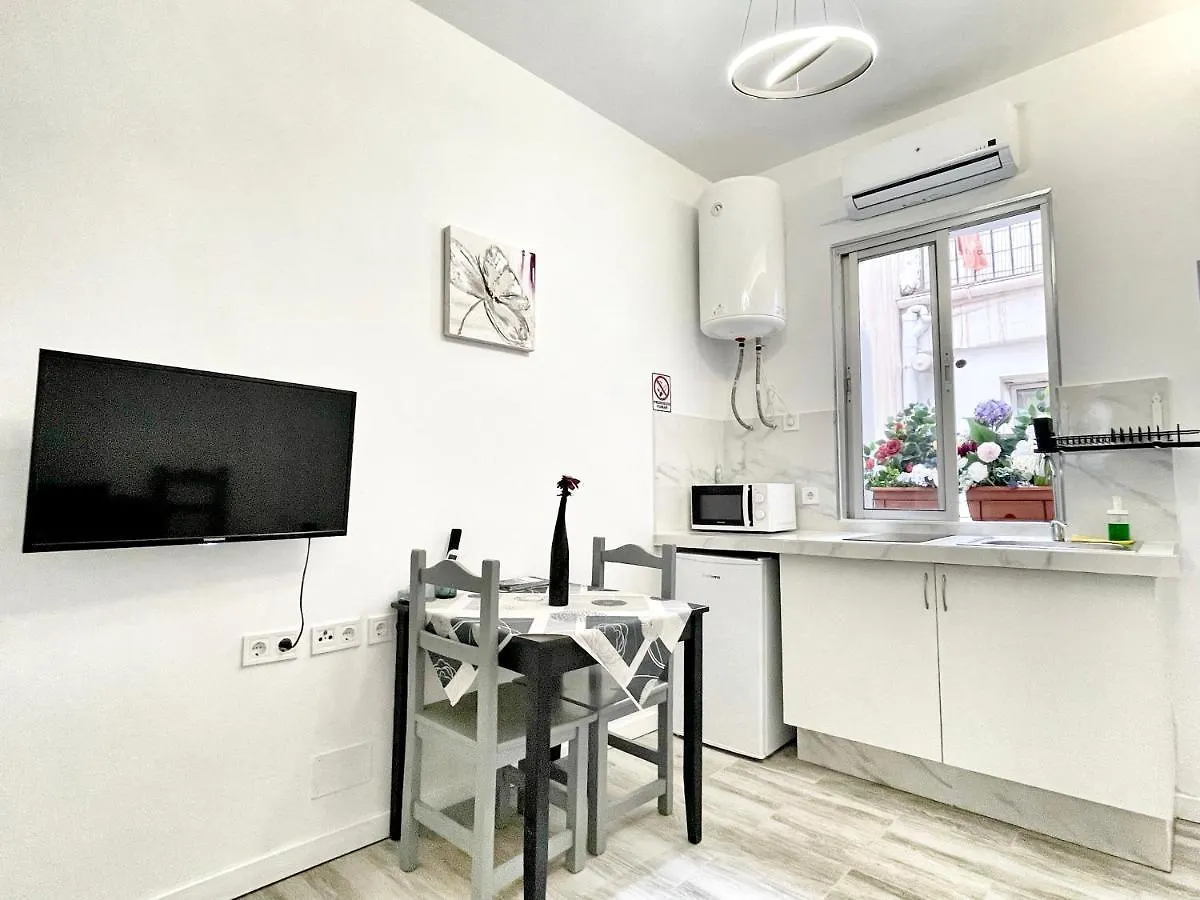Jazmin Apartamentos Nuevos Centro Historico Malaga Apartment